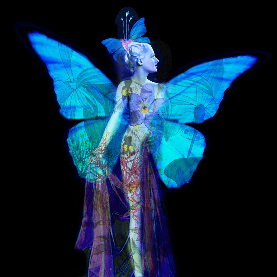 ''Blue Angel' - Limited Edition Digital Print 1/20' by artist Ashley Cook